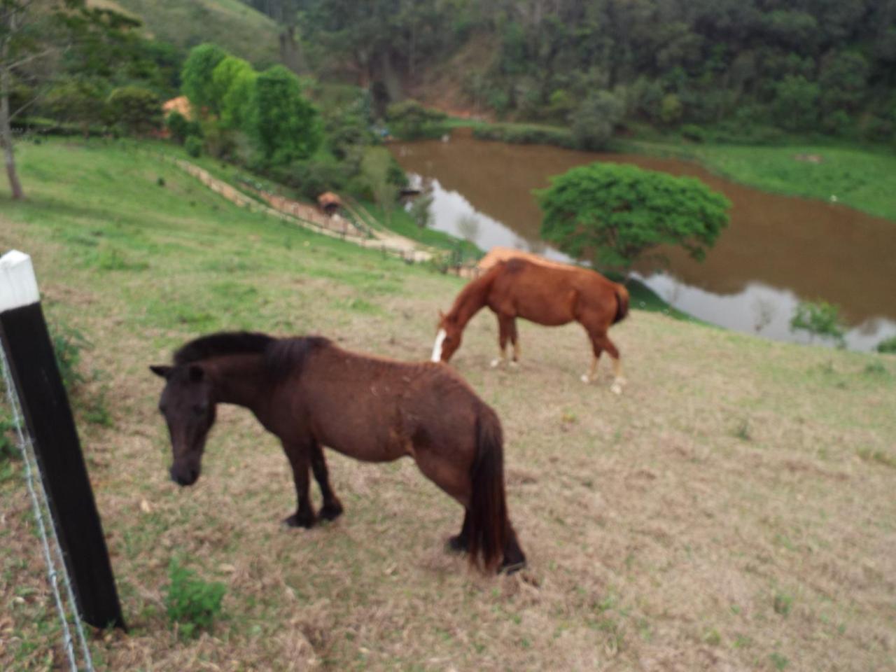 Estrela Da Serra Hotel Fazenda Santo Antônio do Pinhal Εξωτερικό φωτογραφία