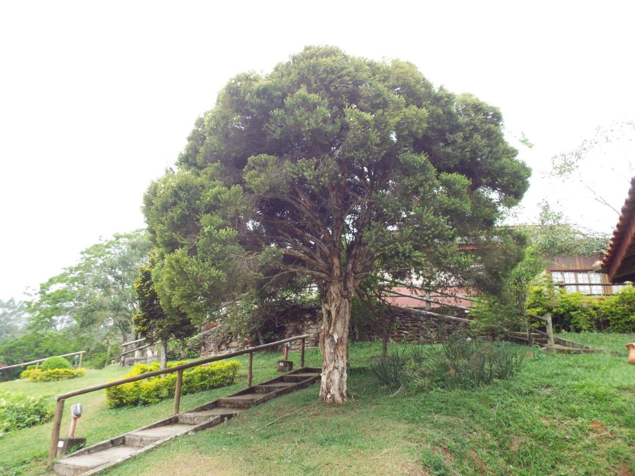 Estrela Da Serra Hotel Fazenda Santo Antônio do Pinhal Εξωτερικό φωτογραφία